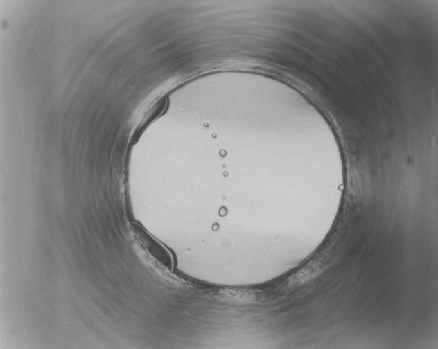 X0000051920954200507152053