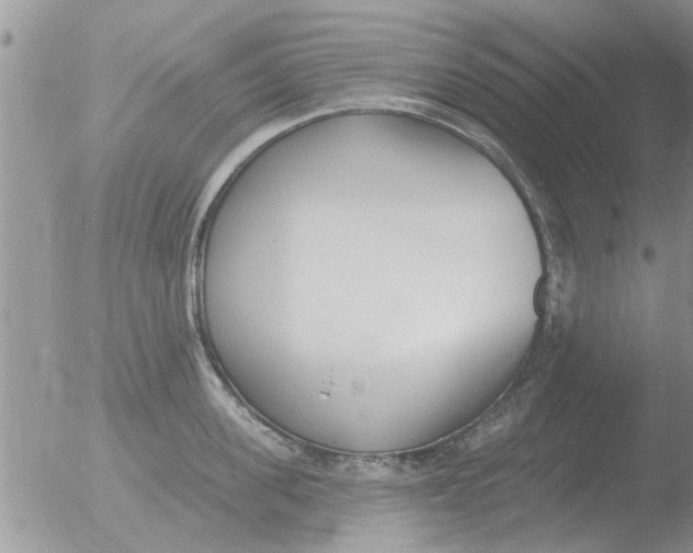 X0000051920955200507152053