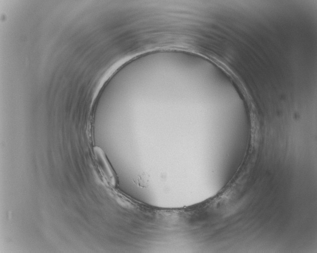 X0000051920956200507152053