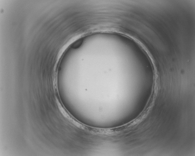 X0000051920957200507152053