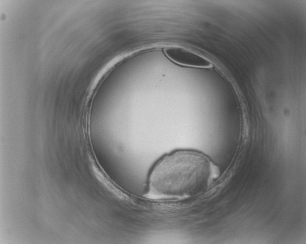 X0000051920958200507152053