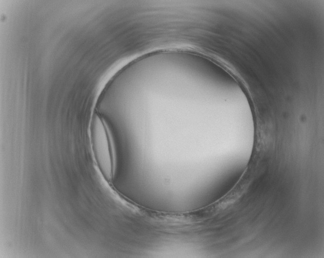 X0000051920959200507152053