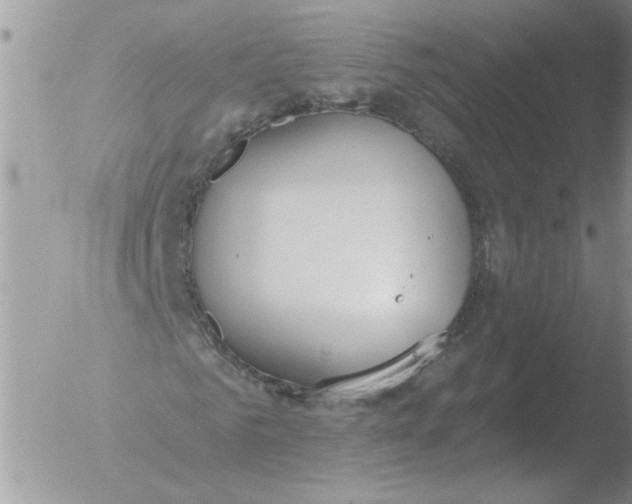 X0000051920961200507152053