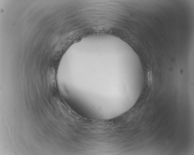 X0000051920963200507152053