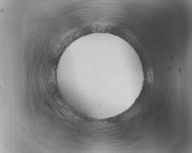 X0000051920964200507152053