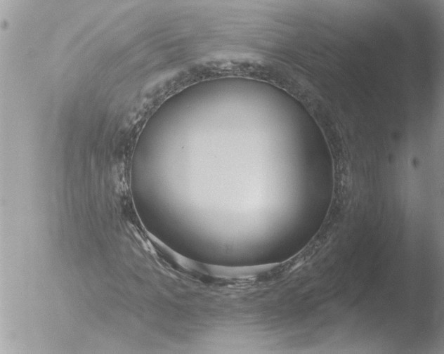 X0000051920965200507152053