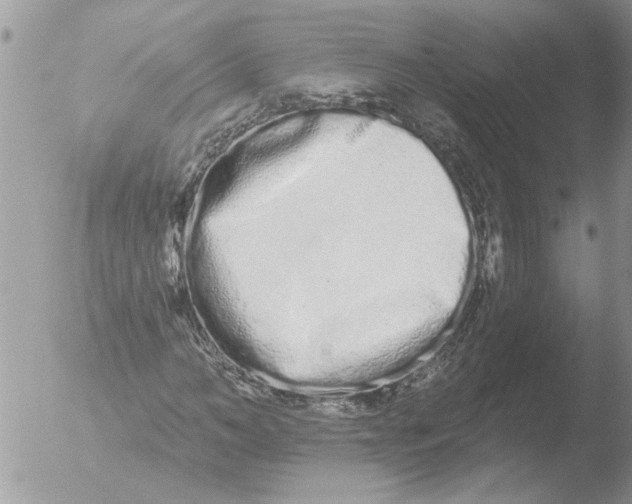 X0000051920966200507152052