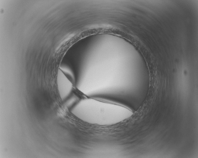 X0000051920967200507152052