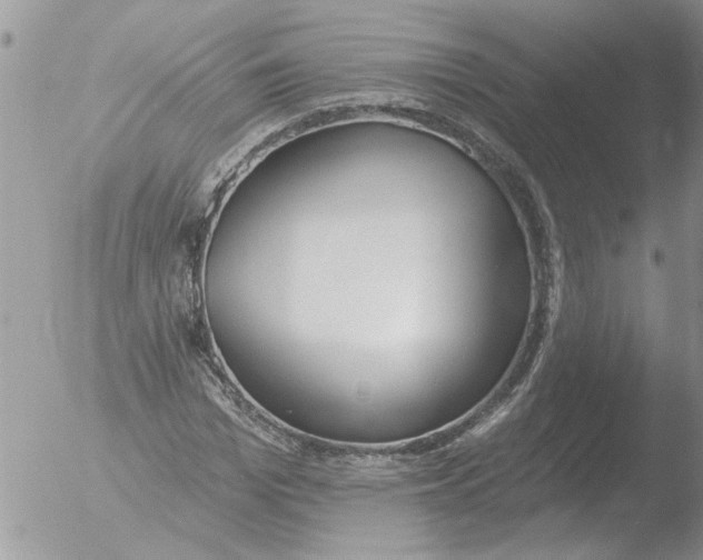 X0000051920969200507152052