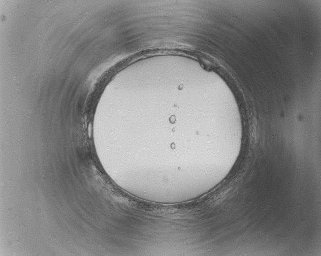 X0000051920971200507152052