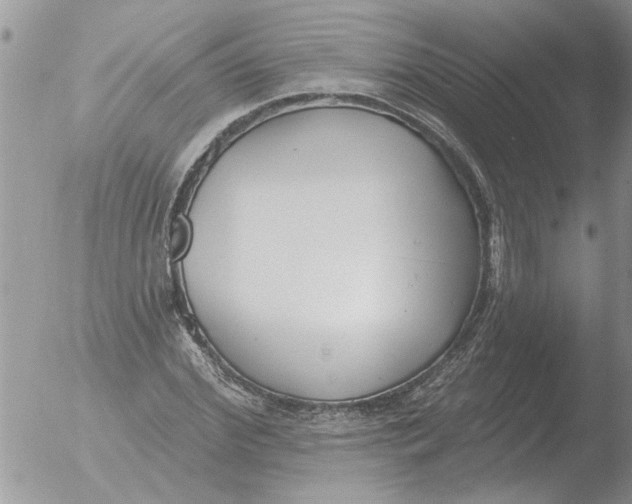 X0000051920972200507152052