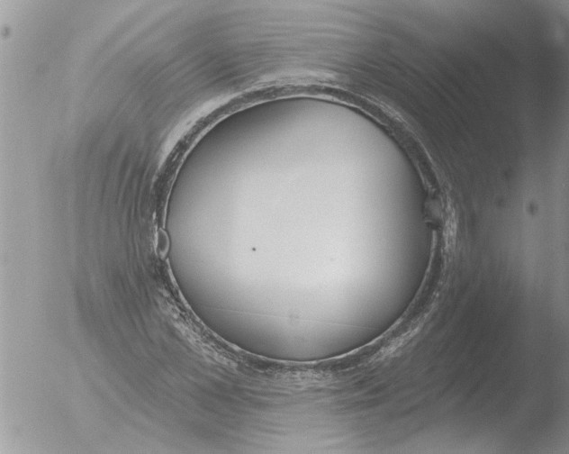 X0000051920973200507152052