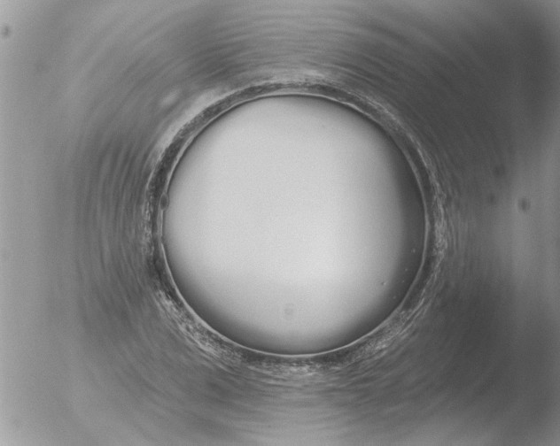 X0000051920975200507152052