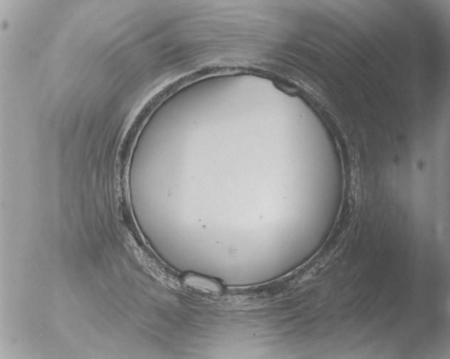 X0000051920976200507152052