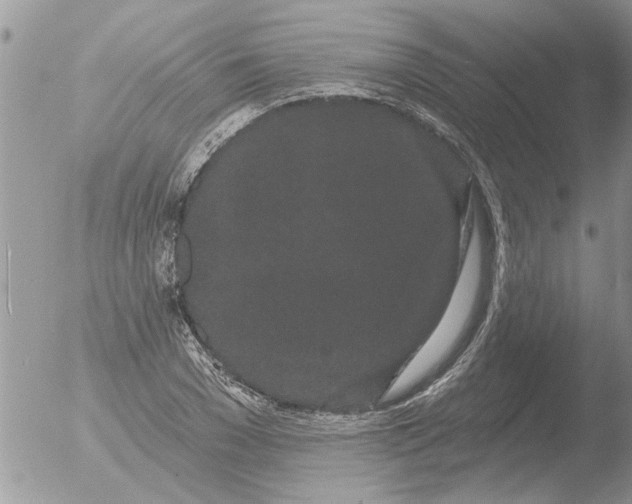 X0000051920977200507152052