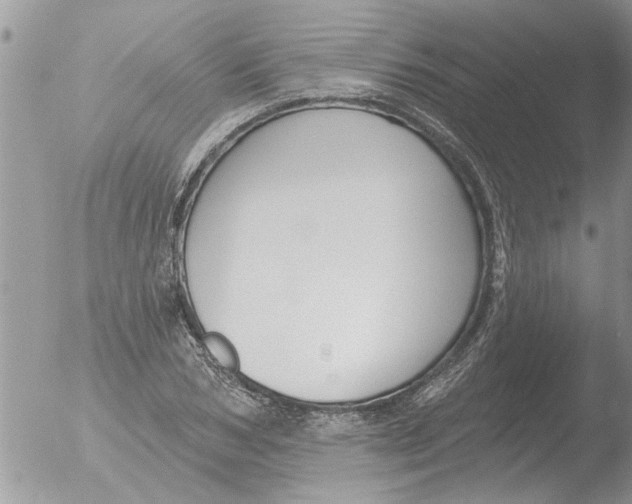 X0000051920978200507152052