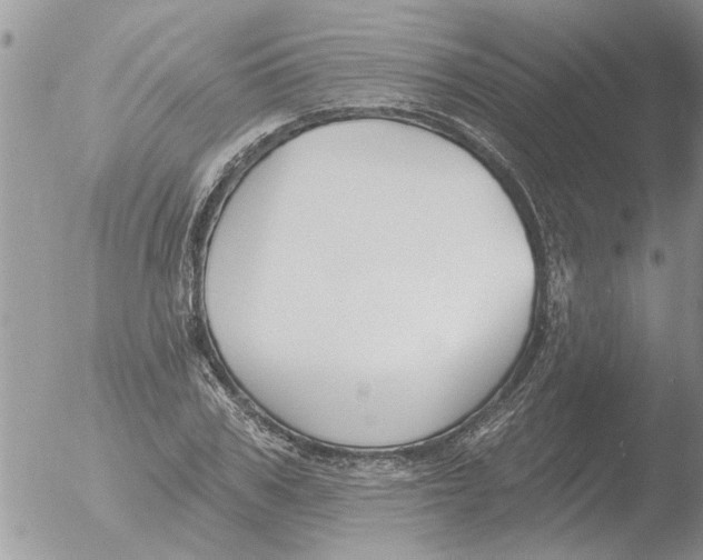 X0000051920979200507152052