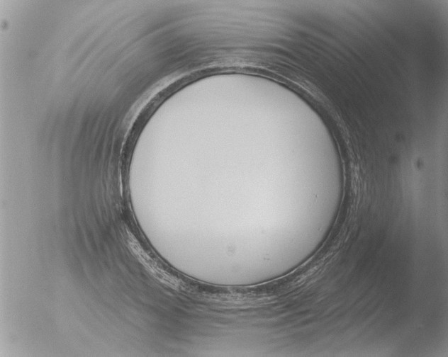 X0000051920980200507152052