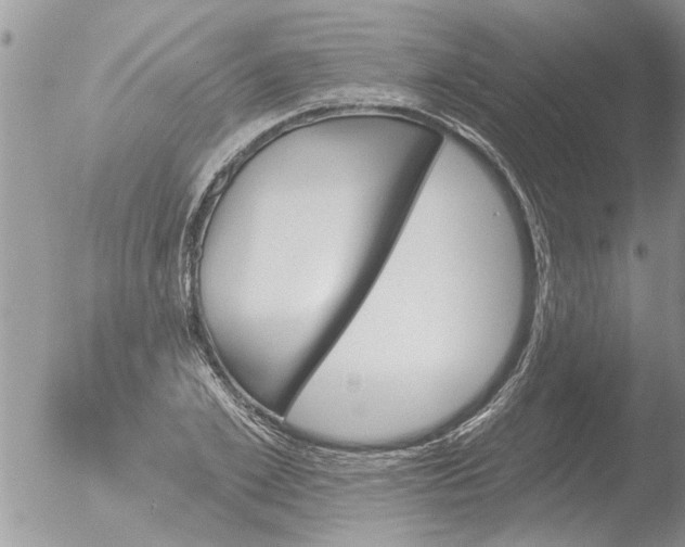 X0000051920981200507152052