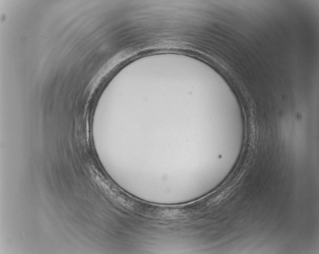 X0000051920982200507152052