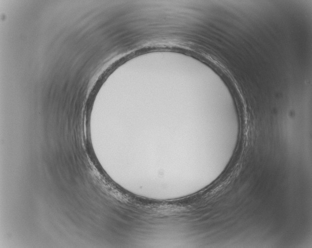 X0000051920984200507152052