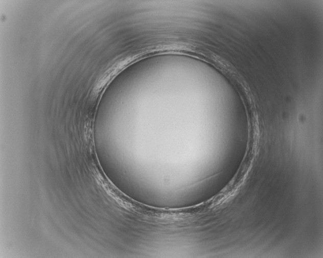 X0000051920985200507152052