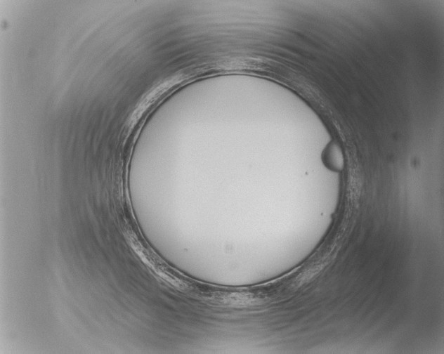 X0000051920986200507152052