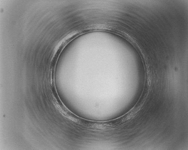 X0000051920987200507152052