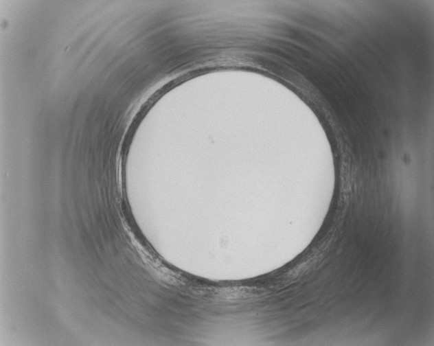 X0000051920988200507152052