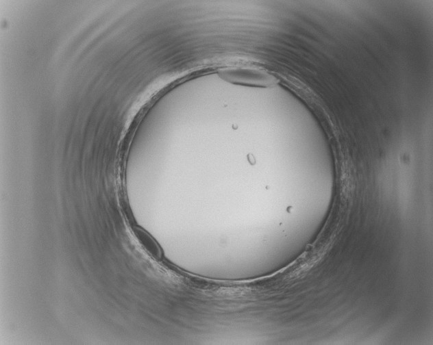 X0000051920989200507152052