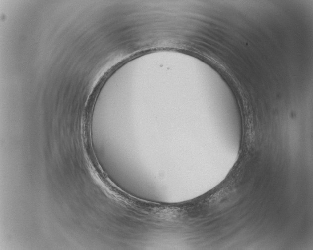 X0000051920991200507152052