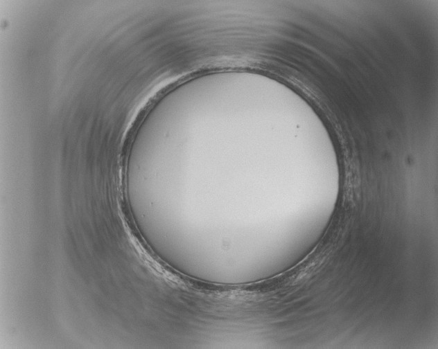 X0000051920992200507152052