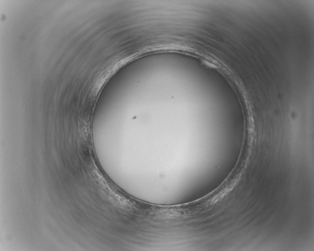 X0000051920993200507152052