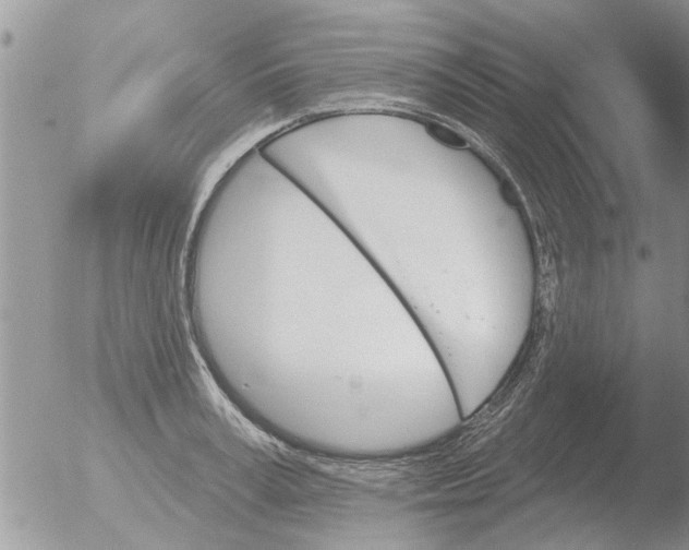 X0000051920995200507152052