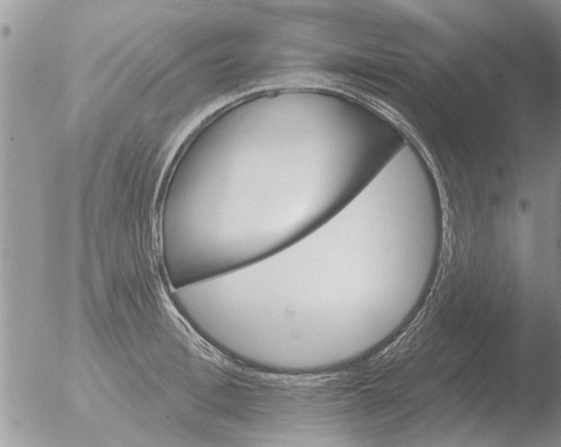 X0000051920996200507152052