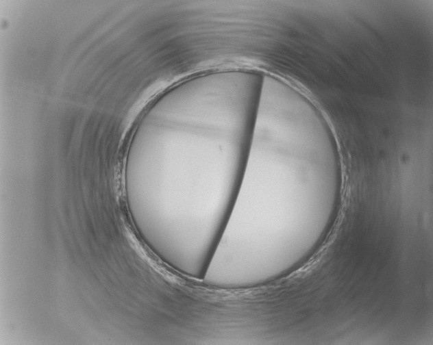 X0000051920997200507152052