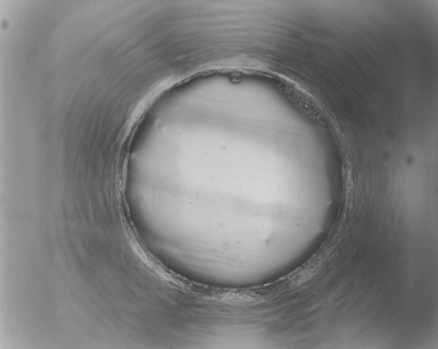 X0000051920998200507152052