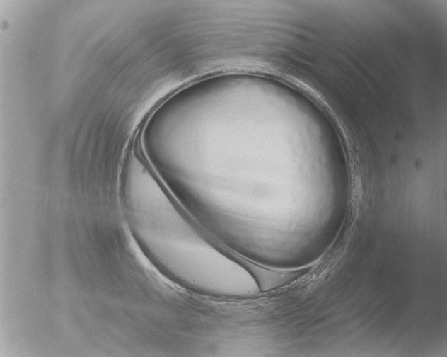 X0000051920999200507152052