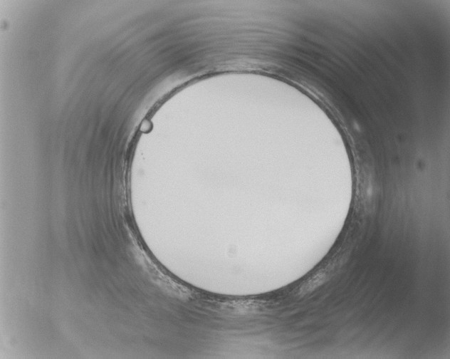 X0000051921000200507152052