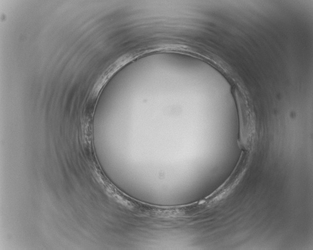 X0000051921001200507152052