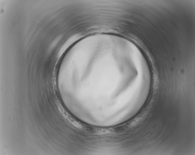 X0000051921002200507152052