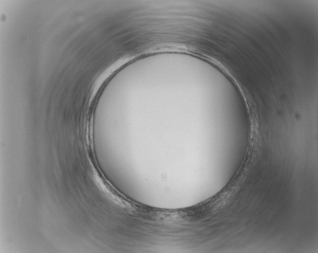 X0000051921003200507152052