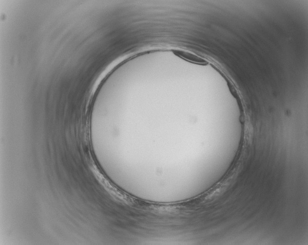 X0000051921004200507152052