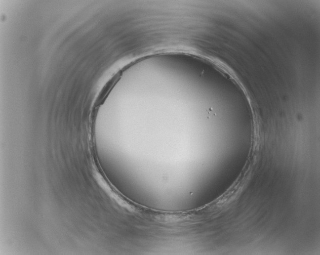 X0000051921005200507152052