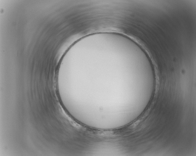 X0000051921006200507152052