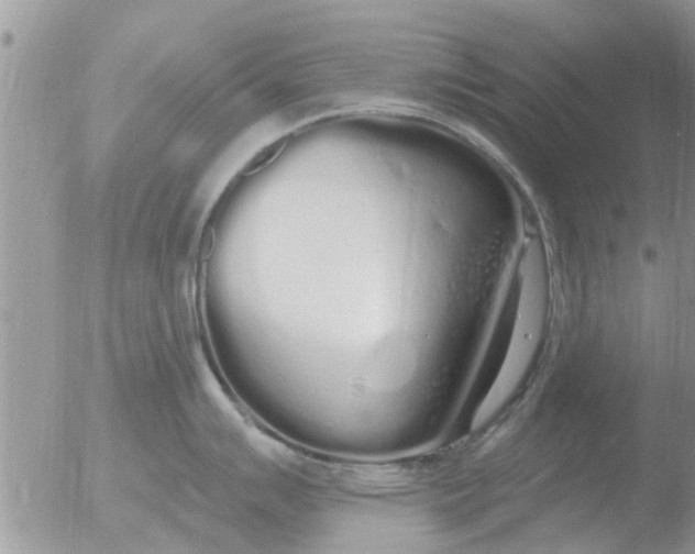 X0000051921007200507152052