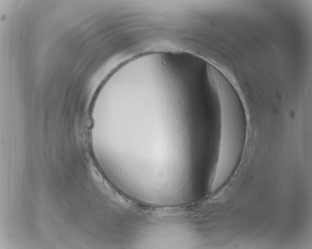 X0000051921008200507152052