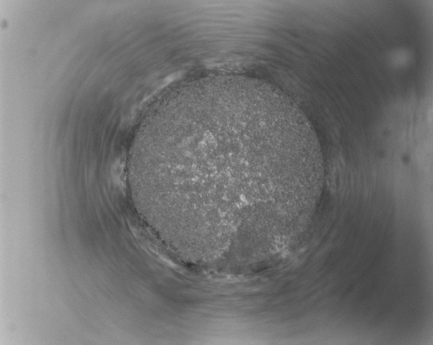 X0000051921010200507152051