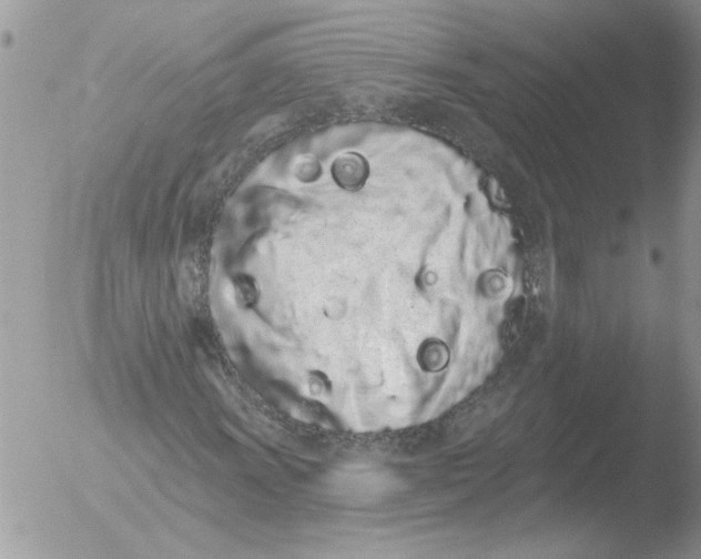 X0000051921011200507152051