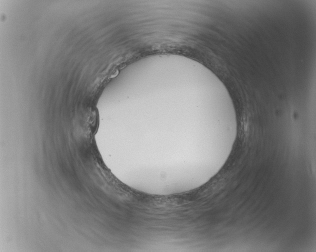 X0000051921012200507152051